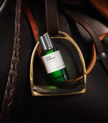 Derinin Egzotik Yorumu: Oud Stallion