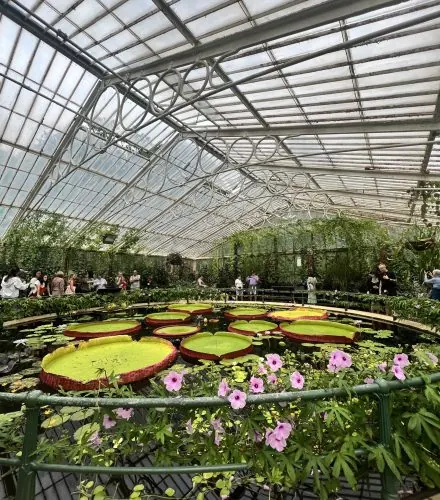 Kew Gardens İzlenimlerim