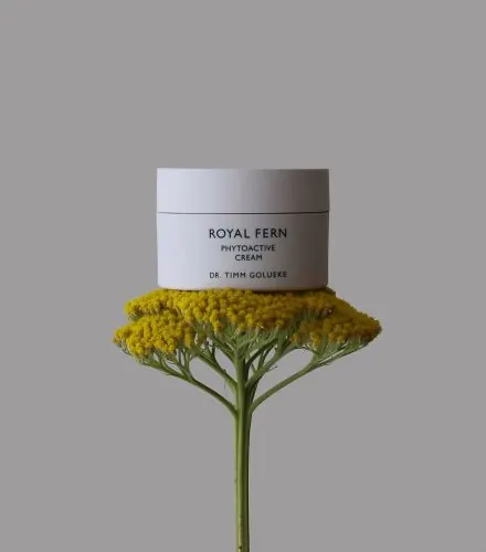 Spotlight: Royal Fern