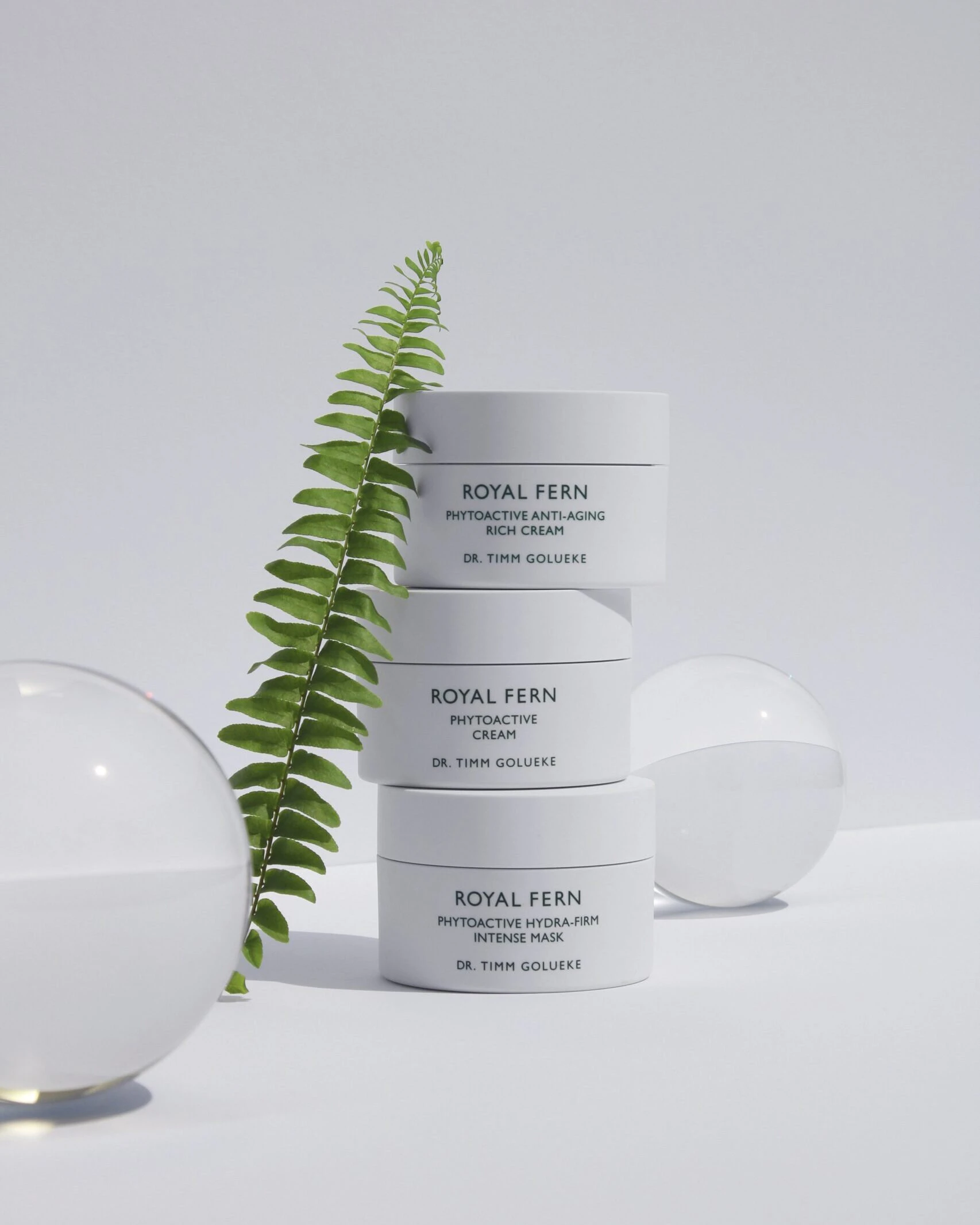Spotlight: Royal Fern – görsel 5