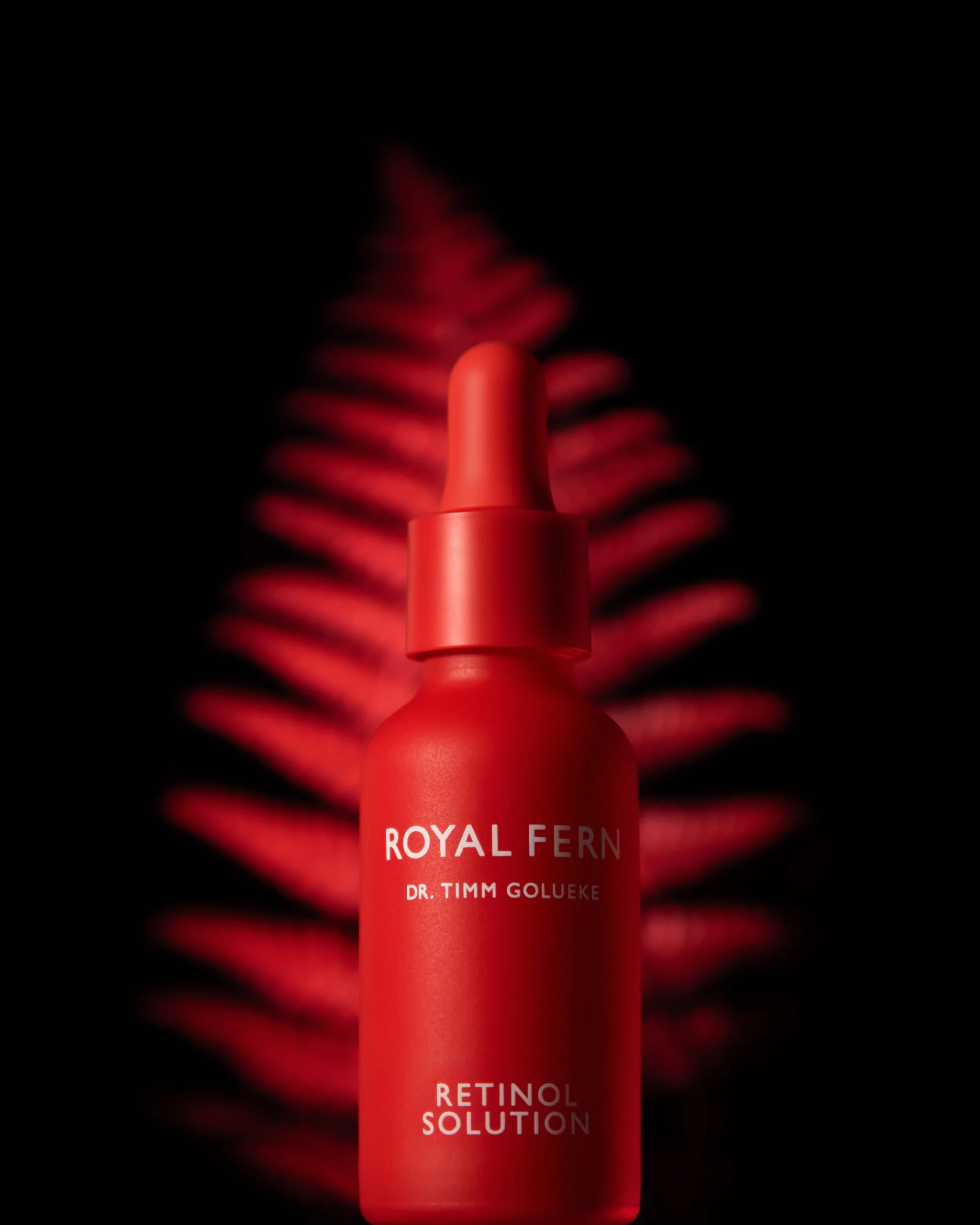 Spotlight: Royal Fern – görsel 6