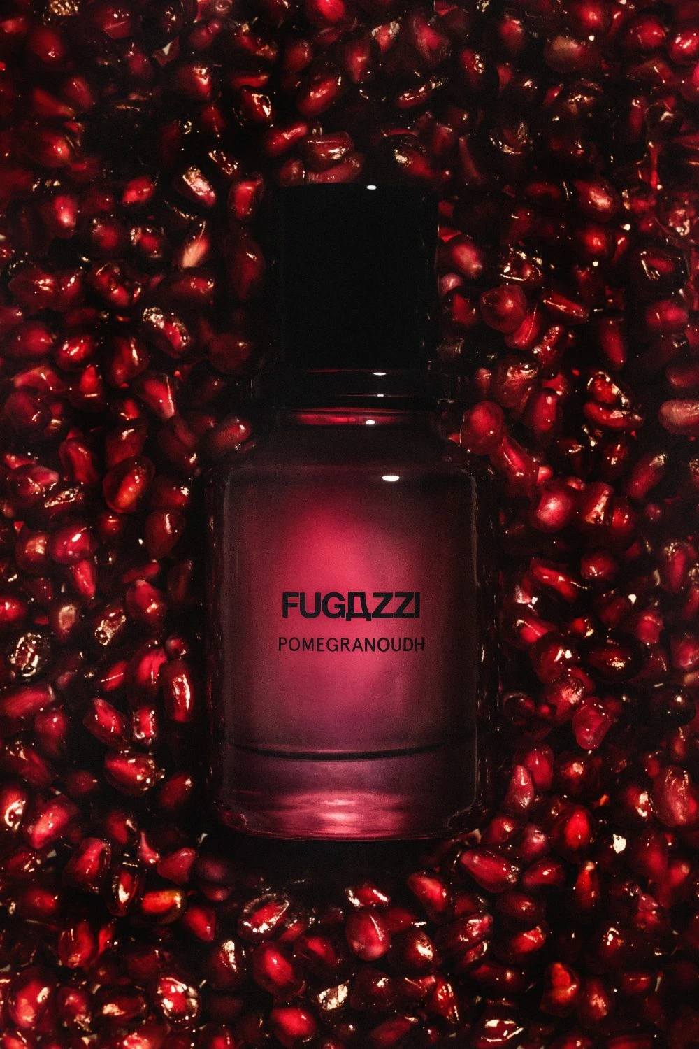 Fugazzi Pomegranoudh: Geceden Sabaha – görsel 1