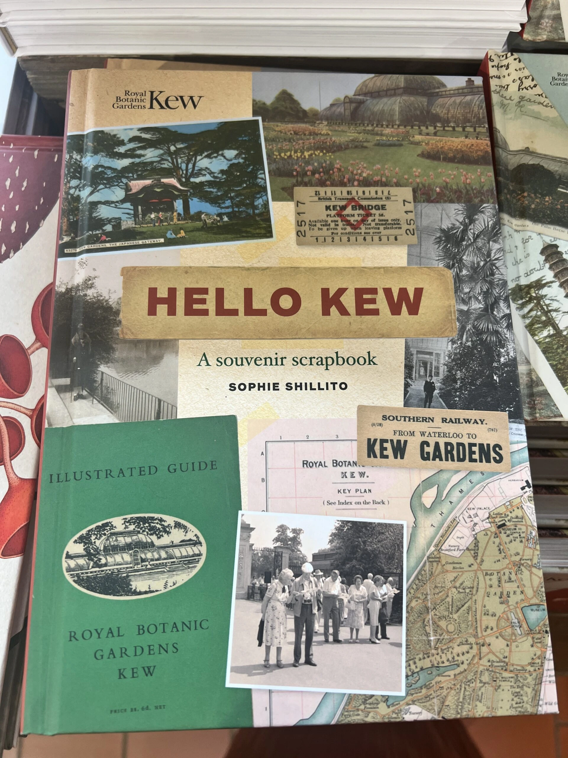 Kew Gardens İzlenimlerim – görsel 20