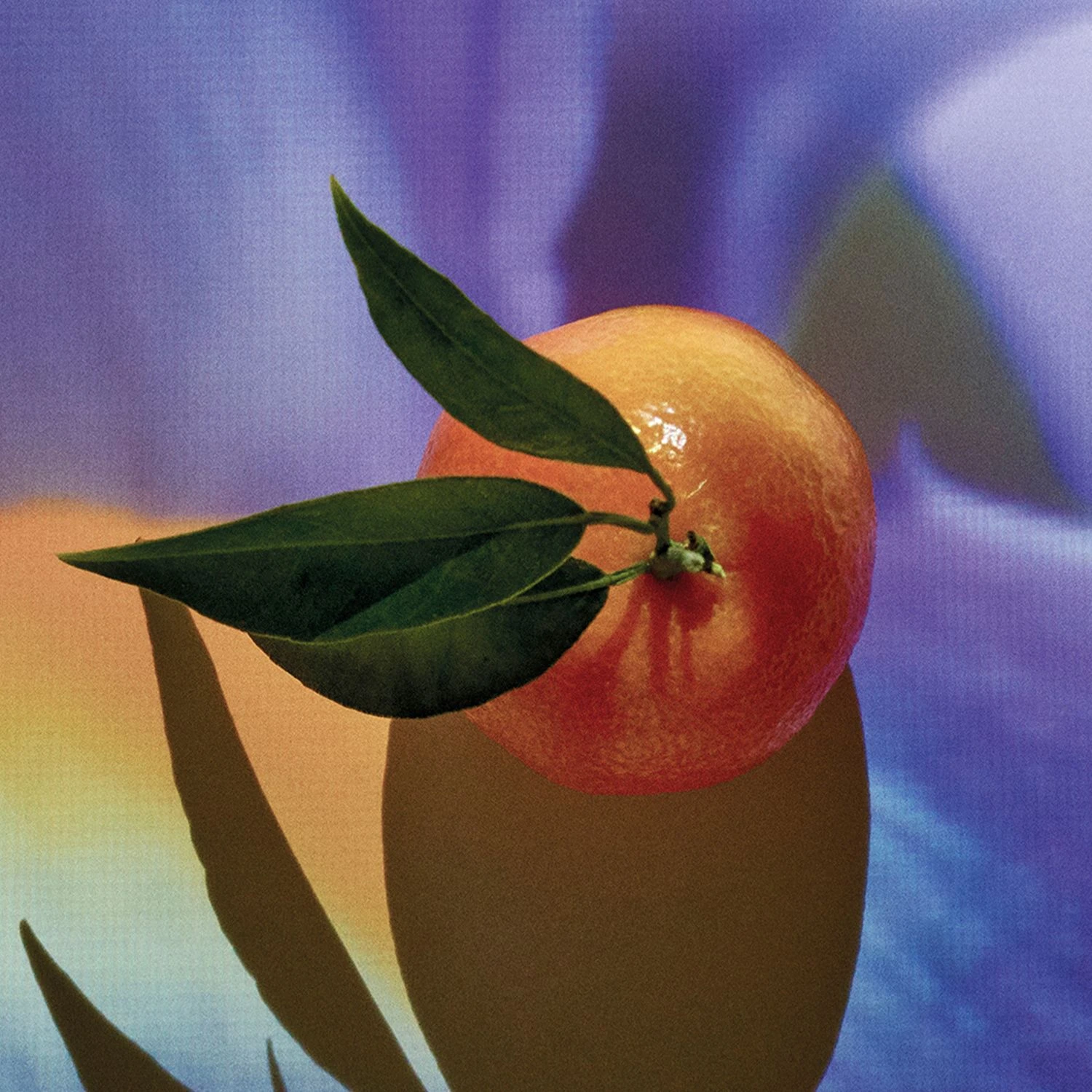 LOEWE Solo Elixir Eau de Parfum amber ve baharat notalı erkek parfümü