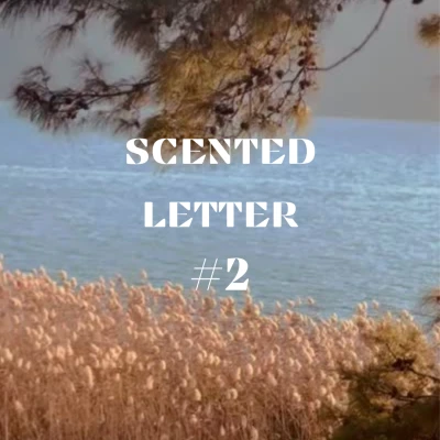 #3 BEKLEMEYE DEĞENLER – görsel 5